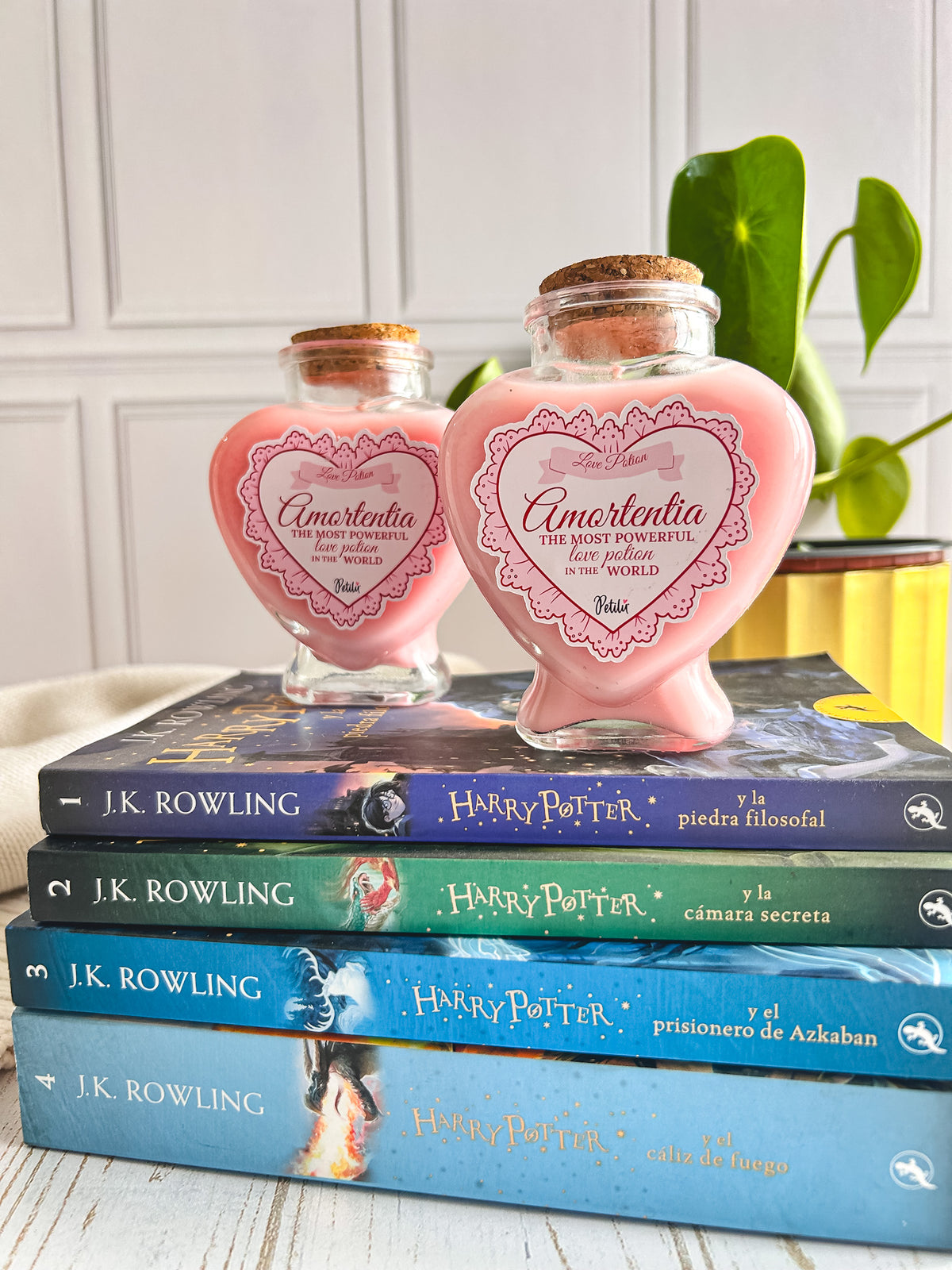 Velas de soya | Amortentia